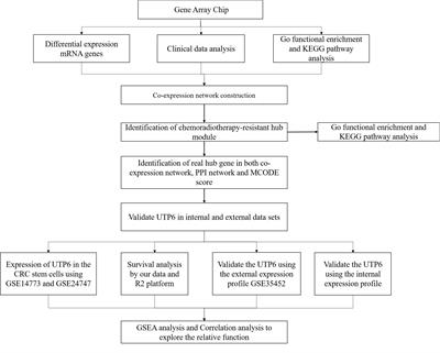 Hypermethylation and Downregulation of UTP6 Are Associated With Stemness Properties, Chemoradiotherapy Resistance, and Prognosis in Rectal Cancer: A Co-expression Network Analysis